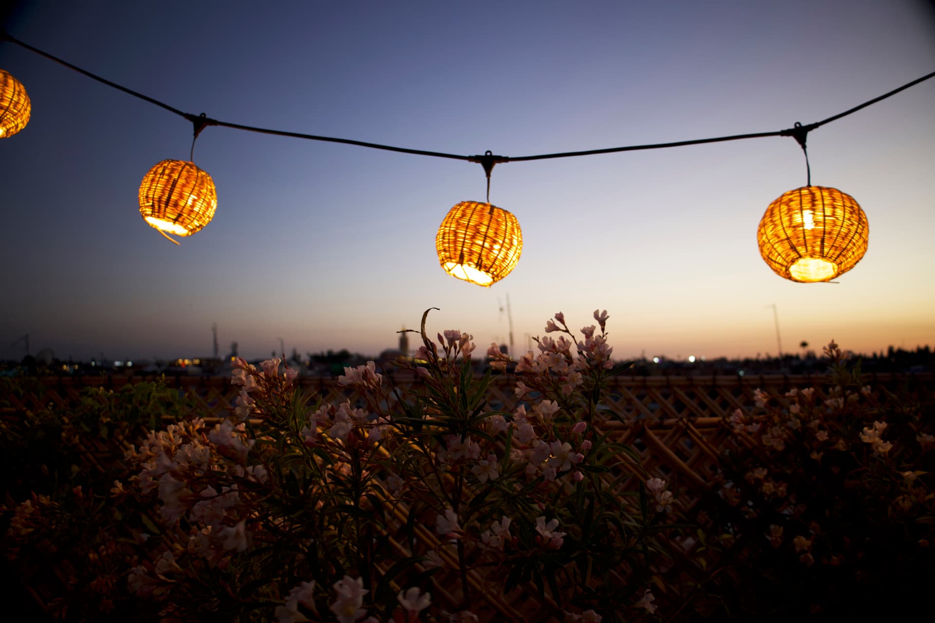 Woven lanterns glowing at dusk above flowering plants on a rooftop terrace in Marrakesh, Morocco