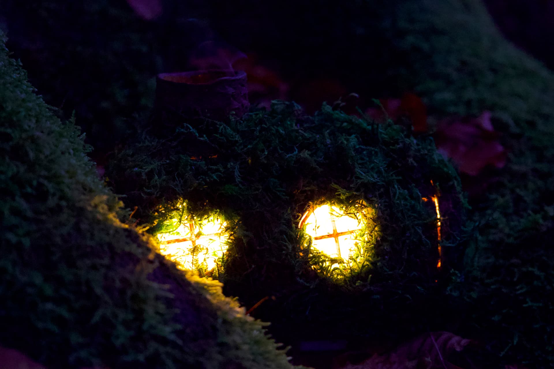 The reverse side of Sam's handmade Hobbit house sculpture, showing a round wooden door and mossy garden details.