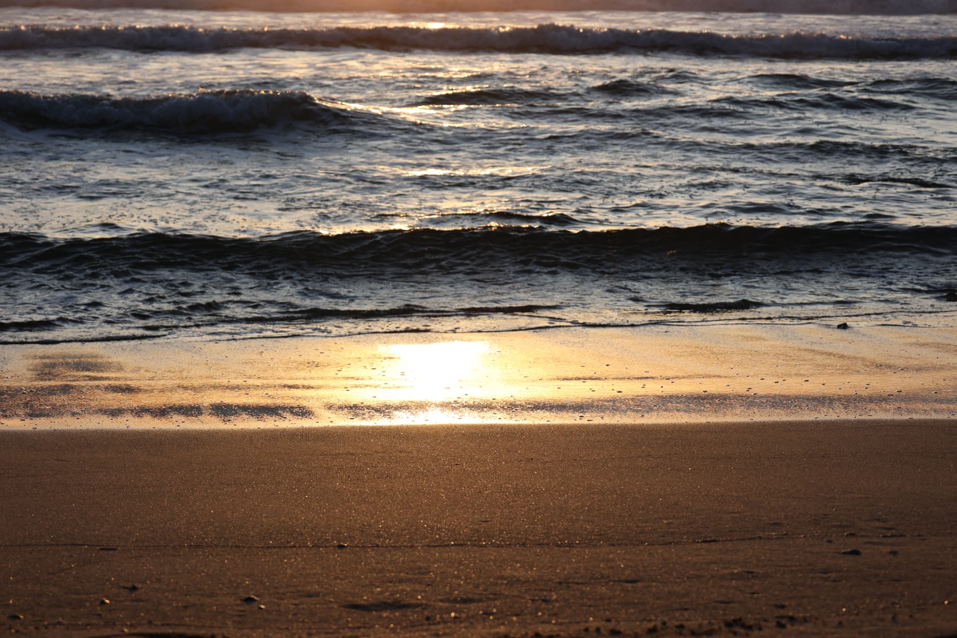 Golden sunrise light reflecting across wet sand and gentle ocean waves on a Sydney beach, NSW, Australia